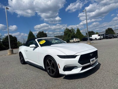 2025 Ford Mustang EcoBoost